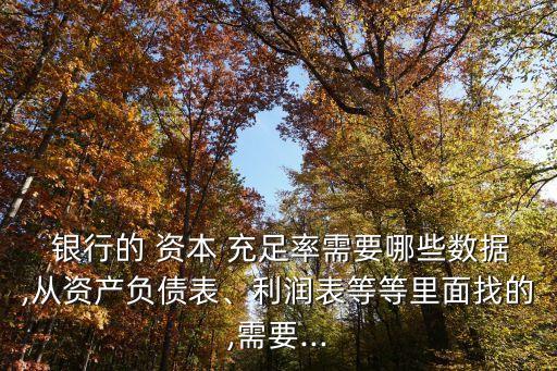  銀行的 資本 充足率需要哪些數(shù)據(jù),從資產(chǎn)負債表、利潤表等等里面找的,需要...