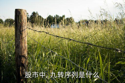 股票九轉理論指導