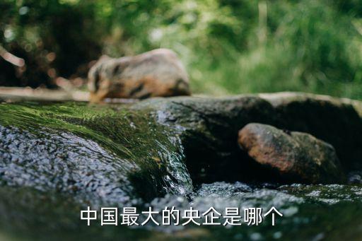 中國最大的央企是哪個(gè)