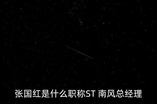 張國紅是什么職稱ST 南風總經(jīng)理