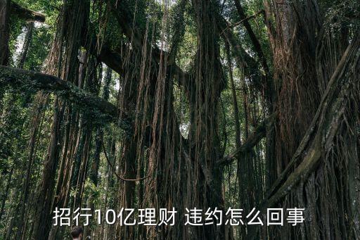 招行10億理財(cái) 違約怎么回事