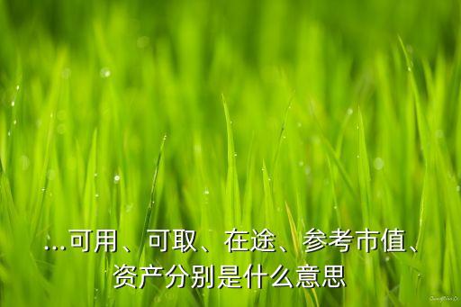 ...可用、可取、在途、參考市值、資產(chǎn)分別是什么意思