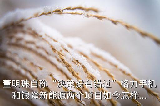 董明珠自稱“決策沒(méi)有錯(cuò)過(guò)”格力手機(jī)和銀隆新能源兩個(gè)項(xiàng)目如今怎樣...