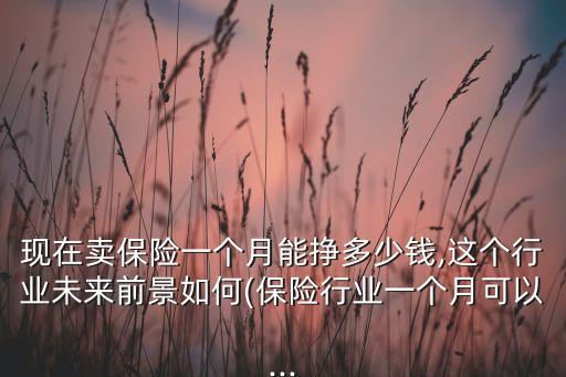 現在賣保險一個月能掙多少錢,這個行業(yè)未來前景如何(保險行業(yè)一個月可以...
