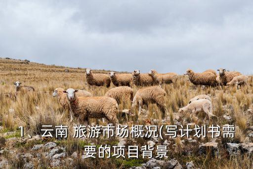 1、云南 旅游市場(chǎng)概況(寫(xiě)計(jì)劃書(shū)需要的項(xiàng)目背景