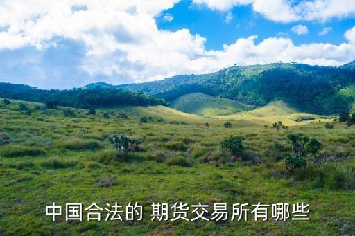 中國期貨自律機(jī)構(gòu)