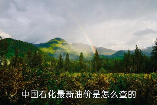 中國(guó)石化最新油價(jià)是怎么查的