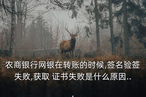 農(nóng)商銀行網(wǎng)銀在轉(zhuǎn)賬的時候,簽名驗(yàn)簽失敗,獲取 證書失敗是什么原因...