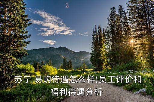  蘇寧 易購待遇怎么樣(員工評(píng)價(jià)和福利待遇分析