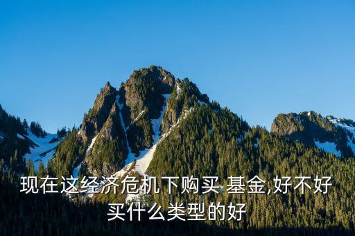 現(xiàn)在這經(jīng)濟(jì)危機(jī)下購(gòu)買(mǎi) 基金,好不好買(mǎi)什么類(lèi)型的好