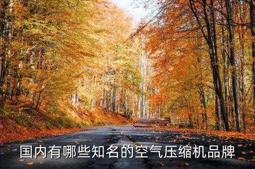 國(guó)內(nèi)有哪些知名的空氣壓縮機(jī)品牌