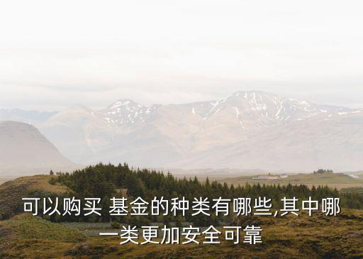 可以購(gòu)買(mǎi) 基金的種類(lèi)有哪些,其中哪一類(lèi)更加安全可靠