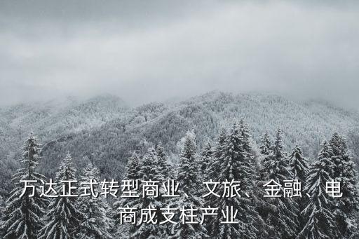  萬達(dá)正式轉(zhuǎn)型商業(yè)、文旅、金融、電商成支柱產(chǎn)業(yè)