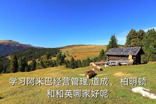 學習阿米巴經(jīng)營管理,道成、 柏明頓和和英哪家好呢