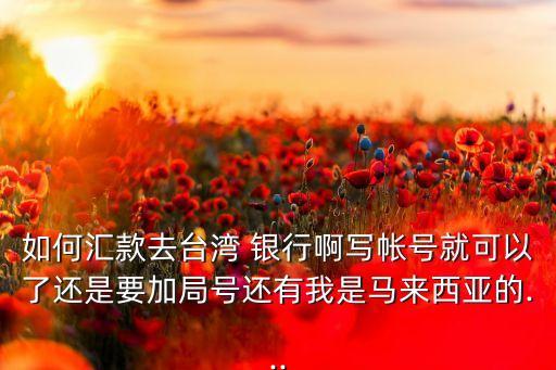 如何匯款去臺(tái)灣 銀行啊寫帳號(hào)就可以了還是要加局號(hào)還有我是馬來西亞的...