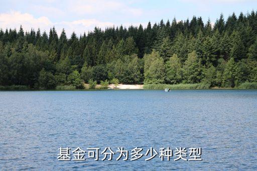  基金可分為多少種類(lèi)型