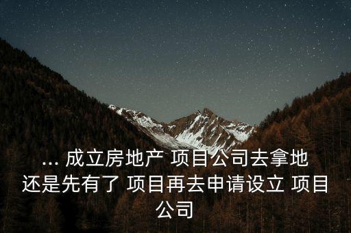 ... 成立房地產(chǎn) 項目公司去拿地還是先有了 項目再去申請設立 項目公司