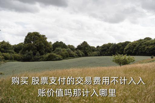  購(gòu)買(mǎi) 股票支付的交易費(fèi)用不計(jì)入入賬價(jià)值嗎那計(jì)入哪里