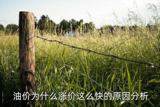 中國(guó)油價(jià)和國(guó)際怎樣接軌,油價(jià)接軌國(guó)際從什么時(shí)候開始的
