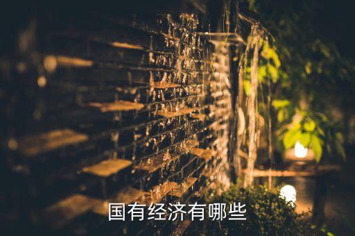 國有經濟有哪些