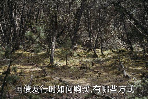  國(guó)債發(fā)行時(shí)如何購(gòu)買,有哪些方式