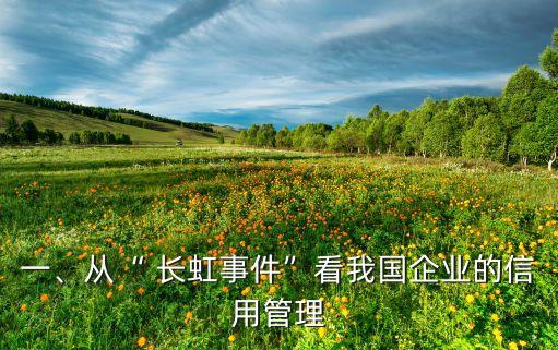 一、從“ 長虹事件”看我國企業(yè)的信用管理