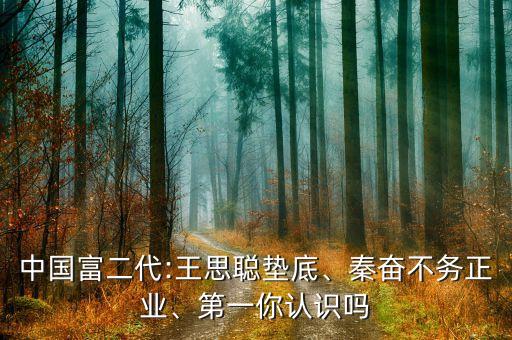 中國富二代:王思聰墊底、秦奮不務(wù)正業(yè)、第一你認(rèn)識嗎