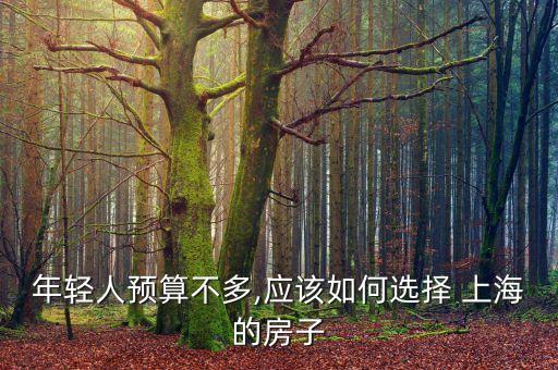 小白領(lǐng)白領(lǐng)在上?？赡苜I房嗎