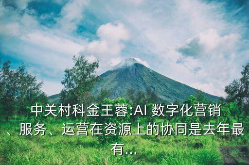  中關(guān)村科金王蓉:AI 數(shù)字化營(yíng)銷(xiāo)、服務(wù)、運(yùn)營(yíng)在資源上的協(xié)同是去年最有...
