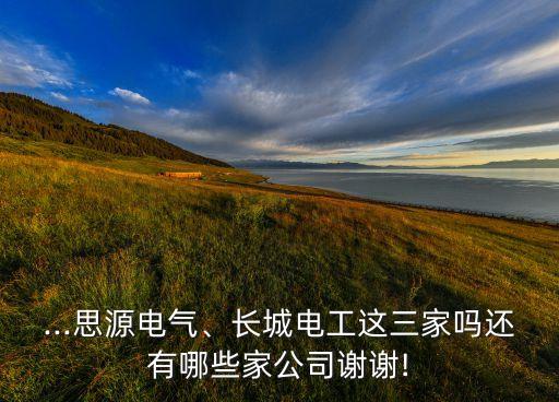...思源電氣、長(zhǎng)城電工這三家嗎還有哪些家公司謝謝!
