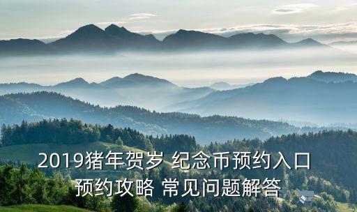 2019豬年賀歲 紀念幣預(yù)約入口 預(yù)約攻略 常見問題解答