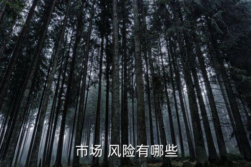  市場 風(fēng)險(xiǎn)有哪些