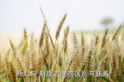  外匯與 期貨之間的區(qū)別與聯系