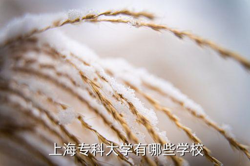  上海?？拼髮W(xué)有哪些學(xué)校