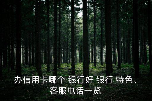 辦信用卡哪個(gè) 銀行好 銀行 特色、客服電話一覽