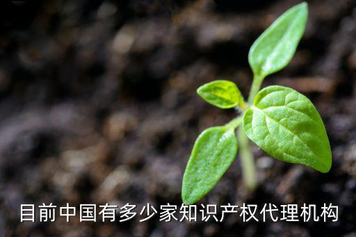 目前中國有多少家知識產(chǎn)權(quán)代理機(jī)構(gòu)