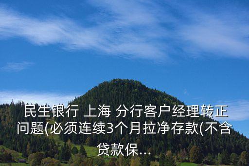  民生銀行 上海 分行客戶(hù)經(jīng)理轉(zhuǎn)正問(wèn)題(必須連續(xù)3個(gè)月拉凈存款(不含貸款保...