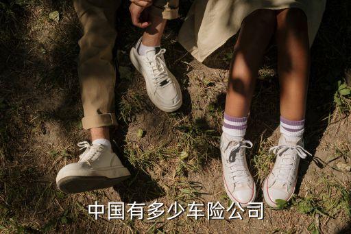 中國有多少車險(xiǎn)公司