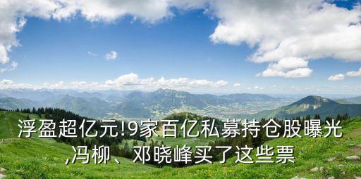 浮盈超億元!9家百億私募持倉股曝光,馮柳、鄧曉峰買了這些票