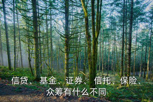 信貸、 基金、證券、 信托、保險(xiǎn)、眾籌有什么不同