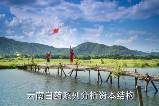  云南白藥系列分析資本結構