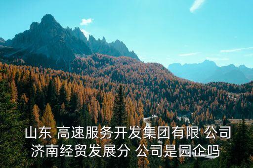  山東 高速服務(wù)開發(fā)集團有限 公司濟南經(jīng)貿(mào)發(fā)展分 公司是園企嗎