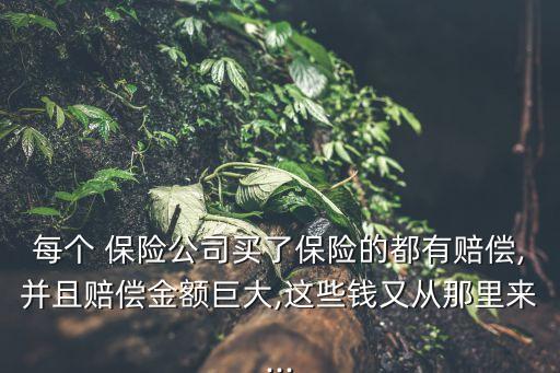 每個(gè) 保險(xiǎn)公司買了保險(xiǎn)的都有賠償,并且賠償金額巨大,這些錢又從那里來...