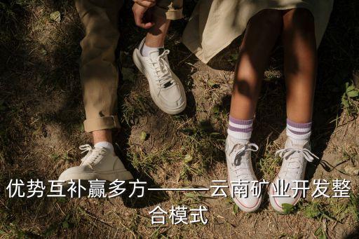 優(yōu)勢(shì)互補(bǔ)贏(yíng)多方———云南礦業(yè)開(kāi)發(fā)整合模式