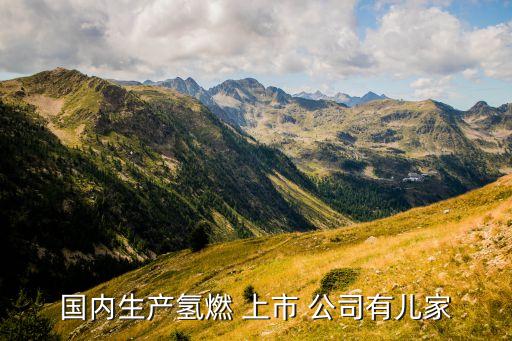 國內生產氫燃 上市 公司有兒家