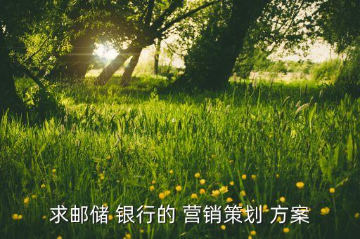 求郵儲(chǔ) 銀行的 營銷策劃 方案