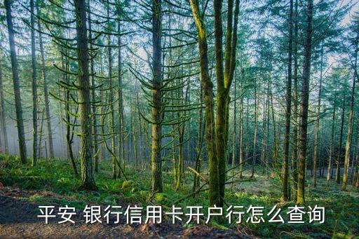  平安 銀行信用卡開(kāi)戶(hù)行怎么查詢(xún)