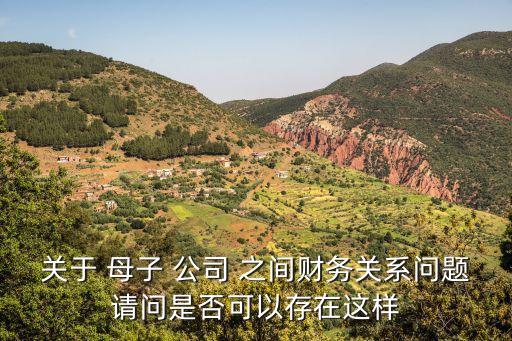 關(guān)于 母子 公司 之間財(cái)務(wù)關(guān)系問題請問是否可以存在這樣