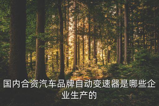 國內合資汽車品牌自動變速器是哪些企業(yè)生產(chǎn)的