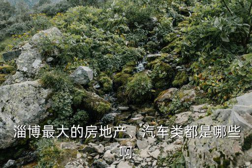  淄博最大的房地產(chǎn)、汽車類都是哪些啊